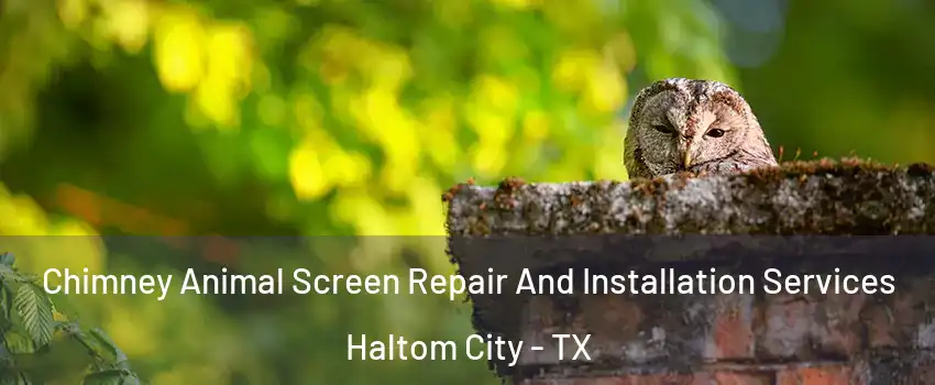  Chimney Animal Screen Repair And Installation Services Haltom City - TX