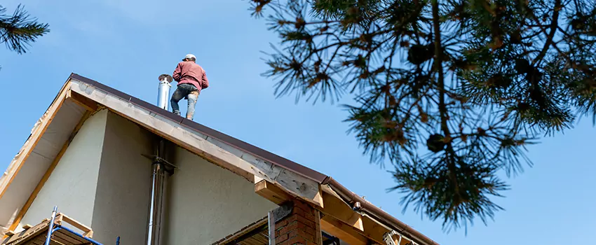 Birds Removal Contractors from Chimney in Haltom City, TX