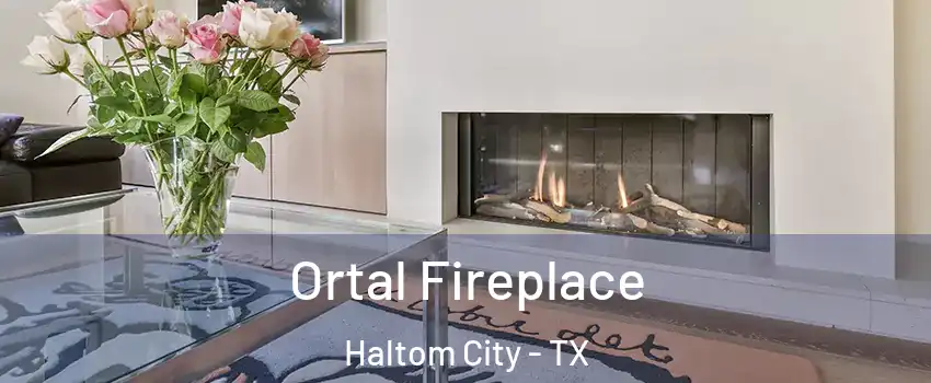 Ortal Fireplace Haltom City - TX